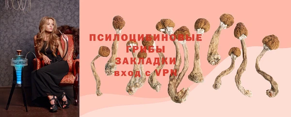 jwh Алзамай