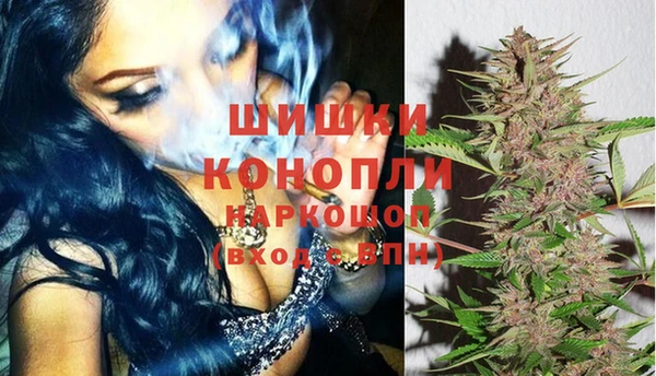 сатива Пересвет